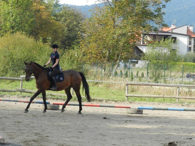 Babie Lato 2016